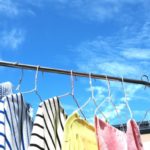 カメムシはなぜ洗濯物につくの？その予防と対策！